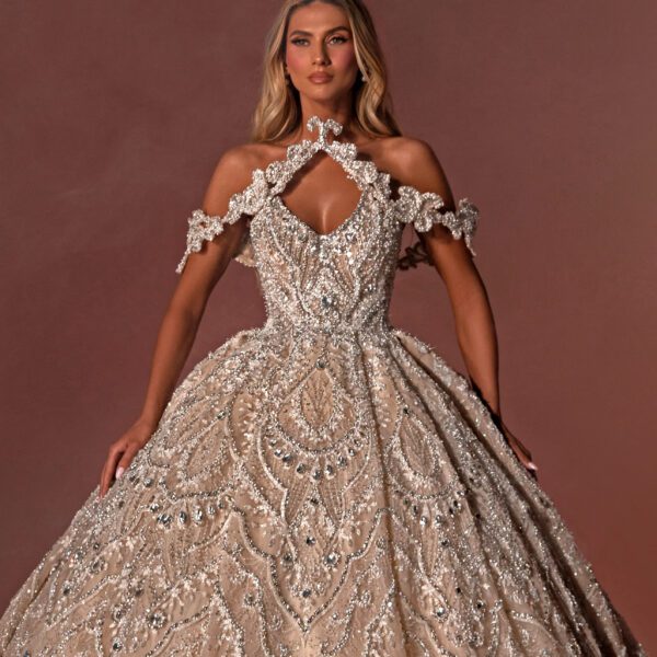 Embroidered Long Dress